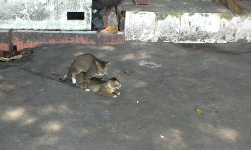 IMG20130528203047.jpg