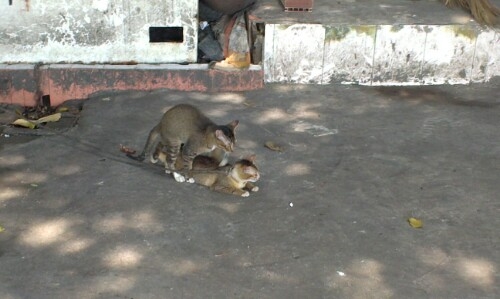 IMG20130528203033.jpg