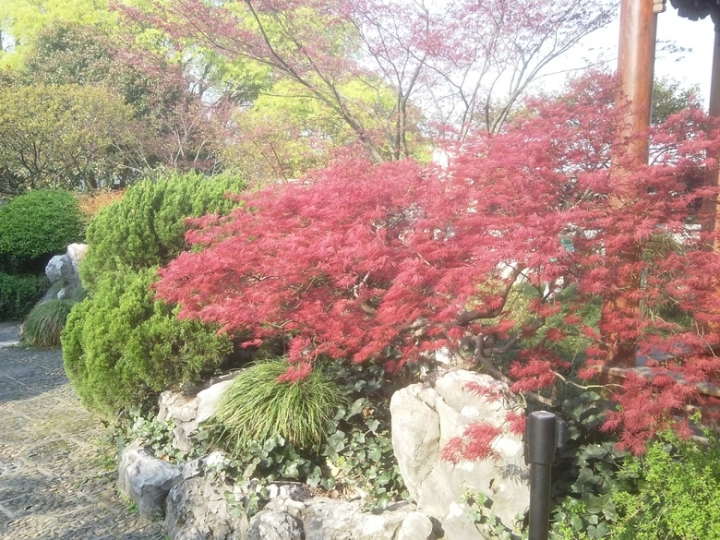 IMG_20130402_160018308.jpg