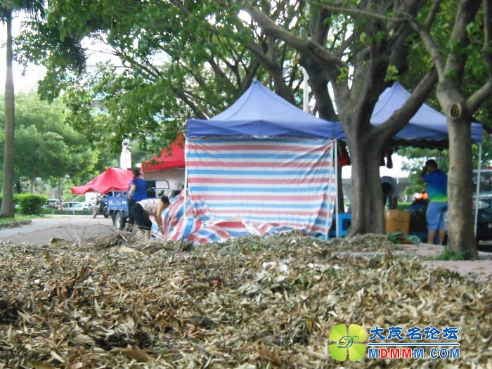 DSCN2905_.jpg