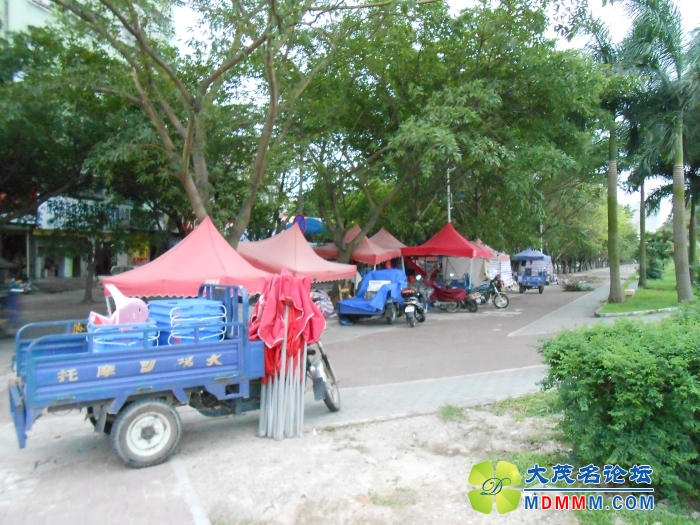 DSCN2913.jpg
