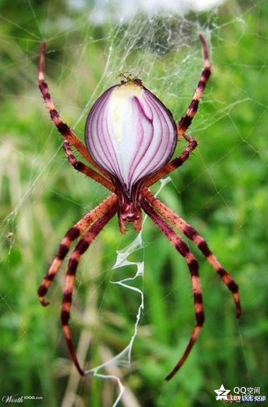 20130531091601_92065.jpg