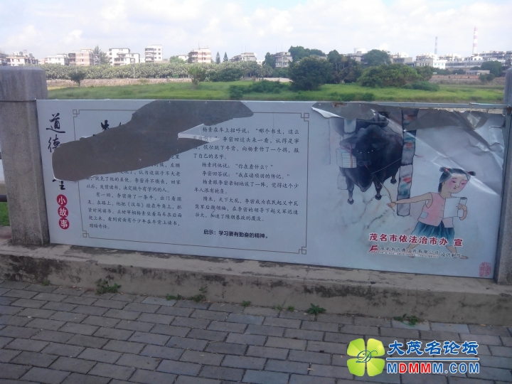 IMG_20130604_091723.jpg