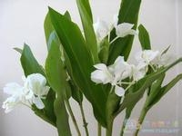 u=3662249730,2298439575&fm=21&gp=0.jpg