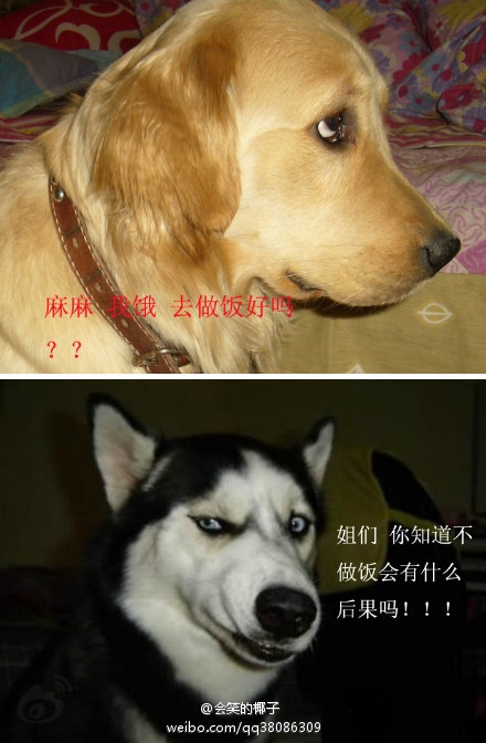 61d4371dtw1dy0ah1bhkfj.jpg