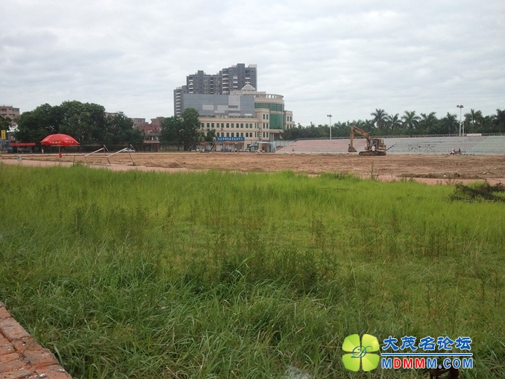 WP_000898.jpg