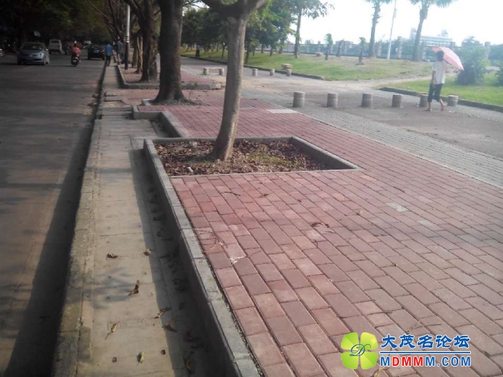 QQͼƬ20130627165202.jpg