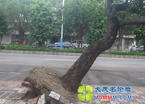 165101b3icb93v9aai3bvu_.jpg