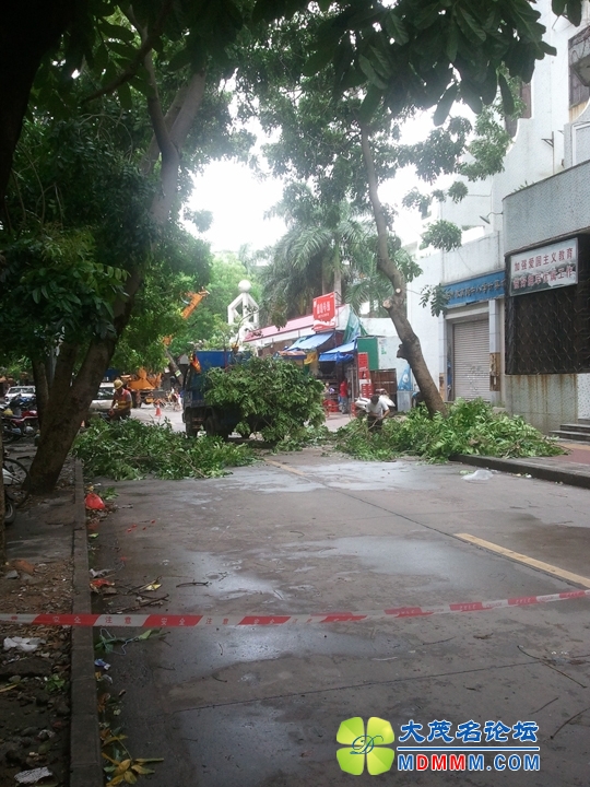 WP_000934.jpg