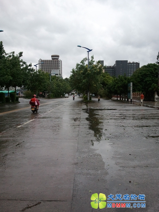 WP_000928.jpg