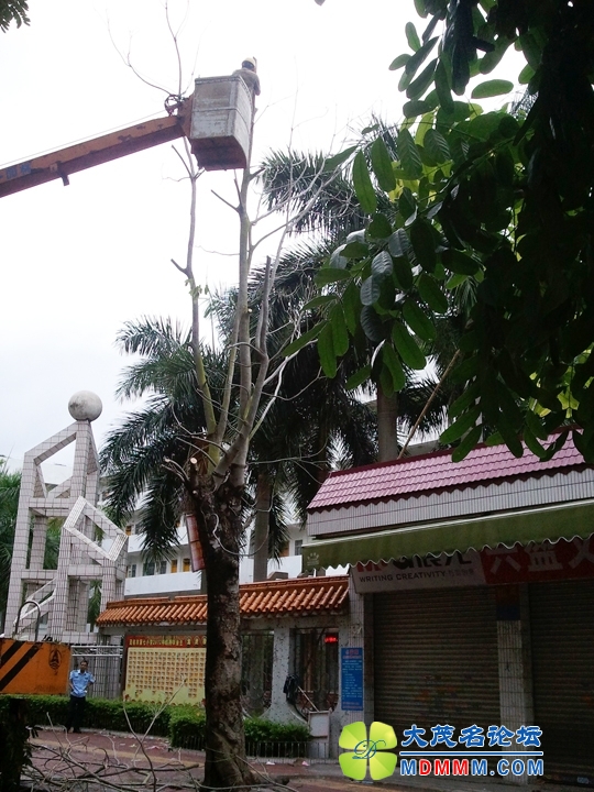 WP_000933.jpg