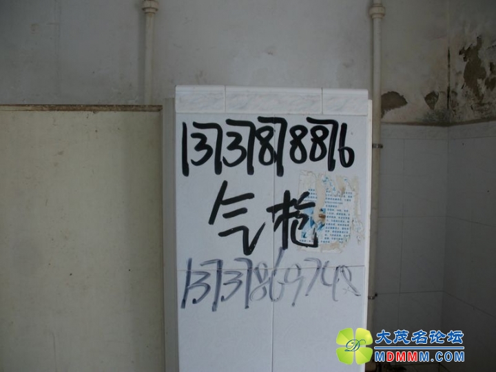 ALIM0526.JPG