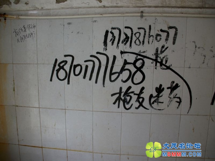 ALIM0529.JPG