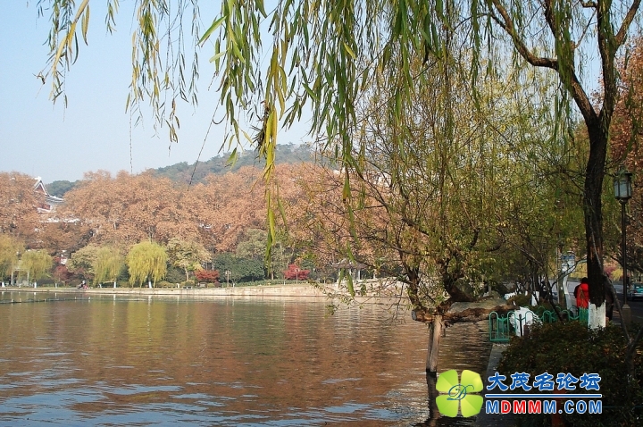 nEO_IMG_DSC00636.jpg