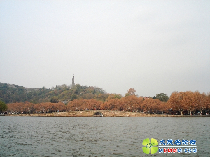DSC00331_.jpg