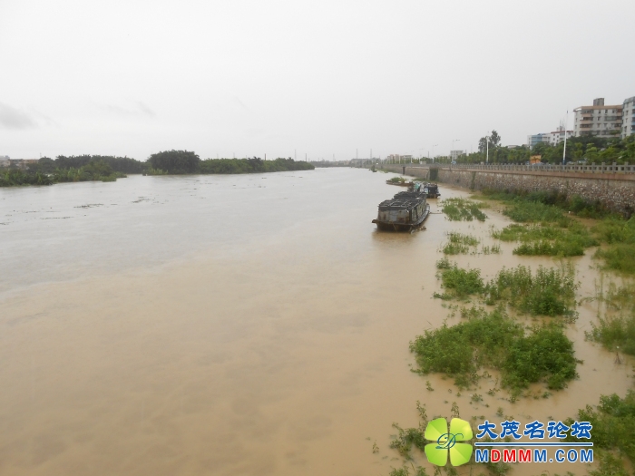 DSCN3516.jpg