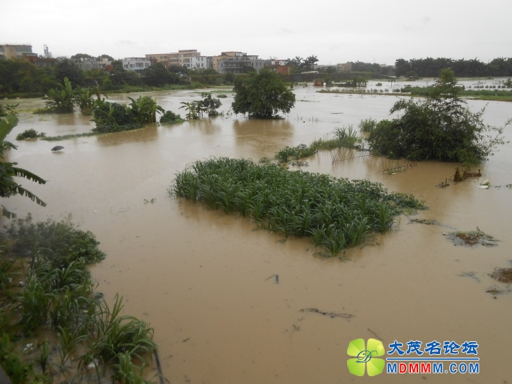 DSCN3533.JPG