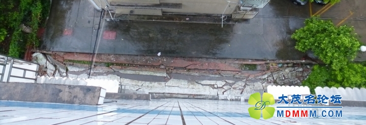 P1040120.jpg