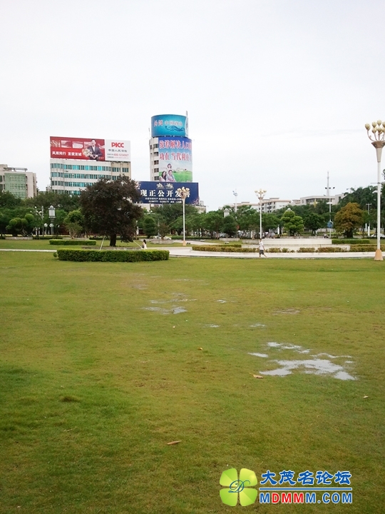 WP_001028.jpg