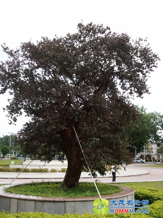 WP_001030.jpg