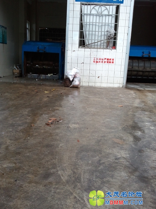 WP_001045.jpg