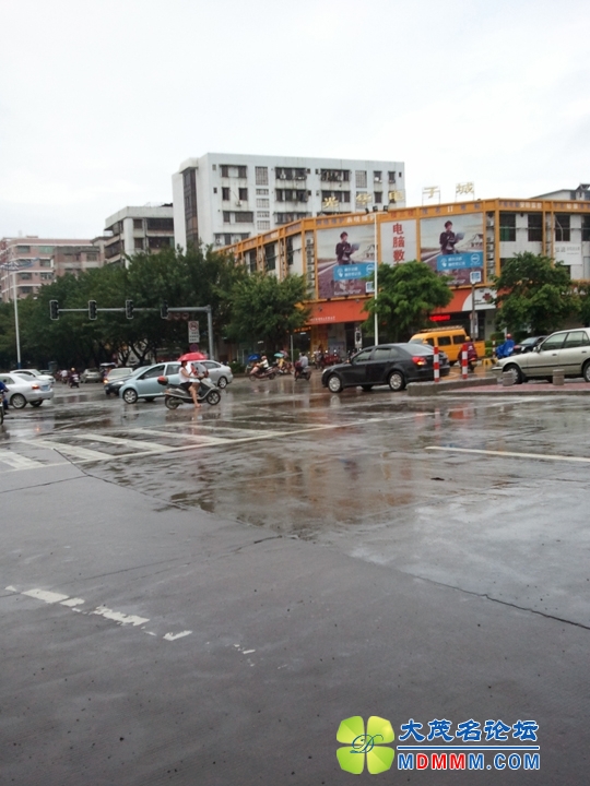 WP_001059.jpg