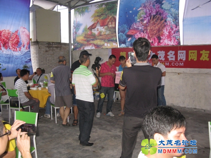 Ƭ 037.jpg