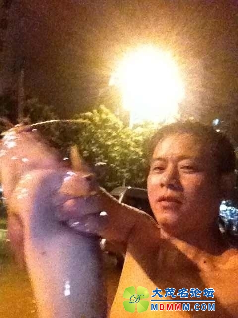 image.jpg