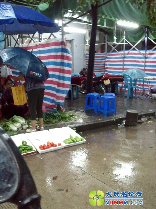 WP_001240.jpg