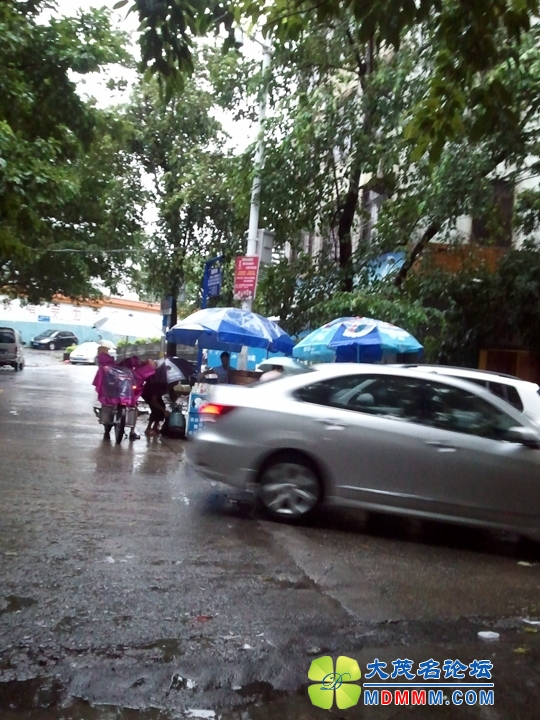 WP_001235.jpg
