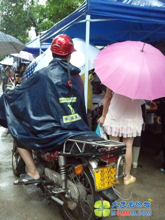 WP_001239.jpg