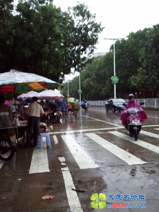 WP_001267.jpg