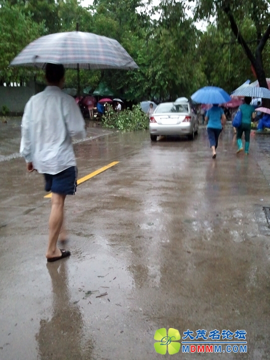 WP_001256.jpg