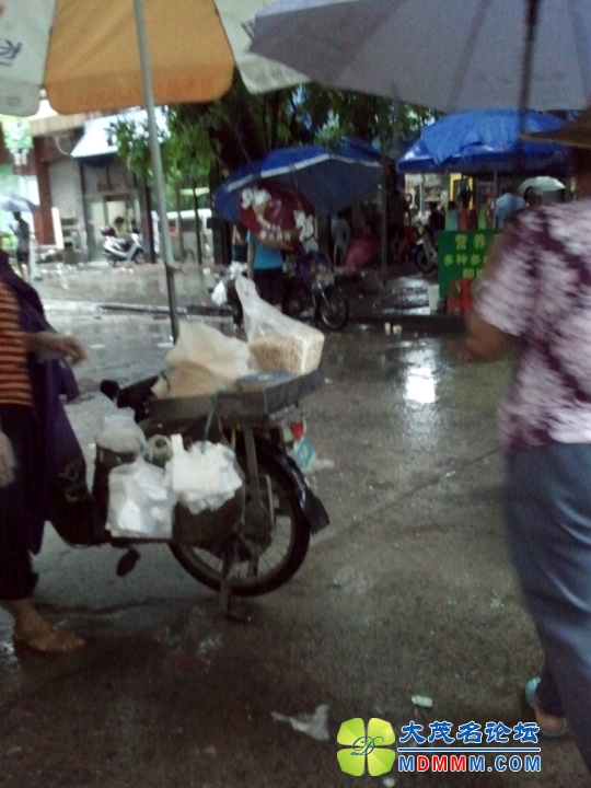 WP_001272.jpg