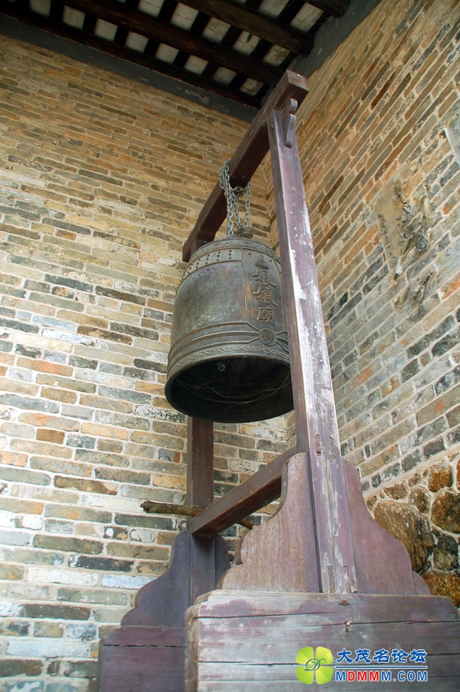 DSC_7997_.jpg