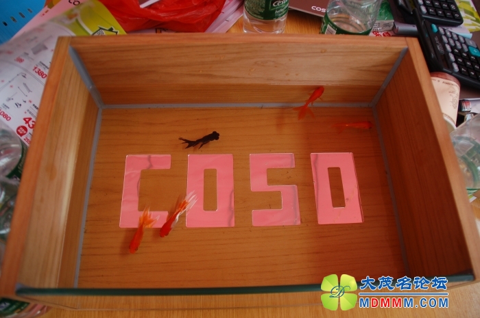 DSC_8873.jpg