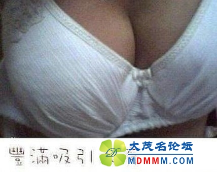QQͼƬ2013082901.jpg
