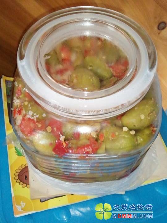 WP_001350.jpg