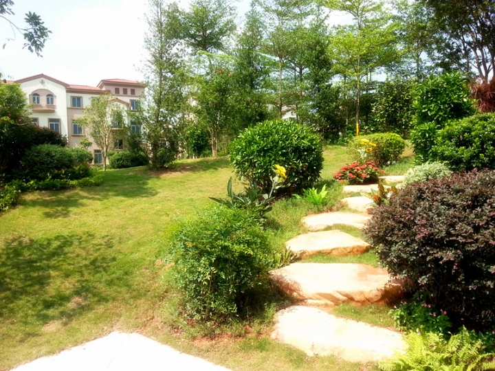 20130907_104540_.jpg