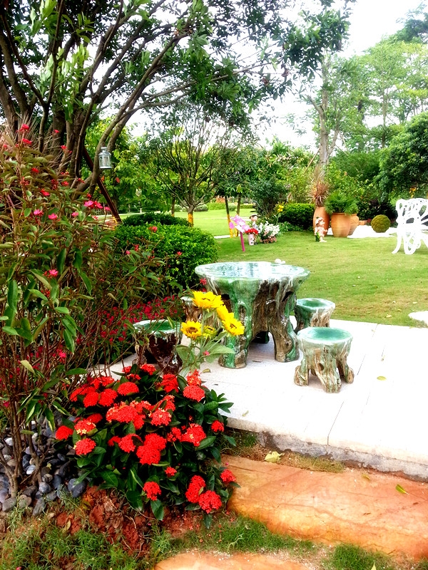 20130907_105556_.jpg