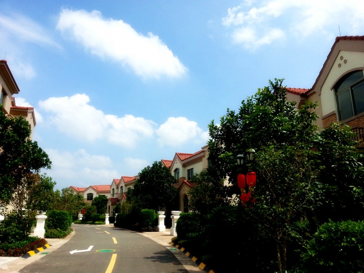 20130907_105836_.jpg