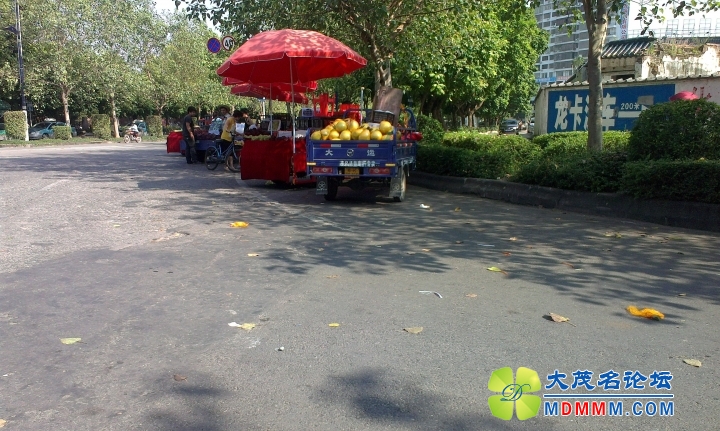 IMAG1265.jpg