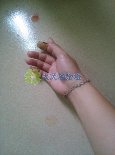 IMG20130925101141.jpg