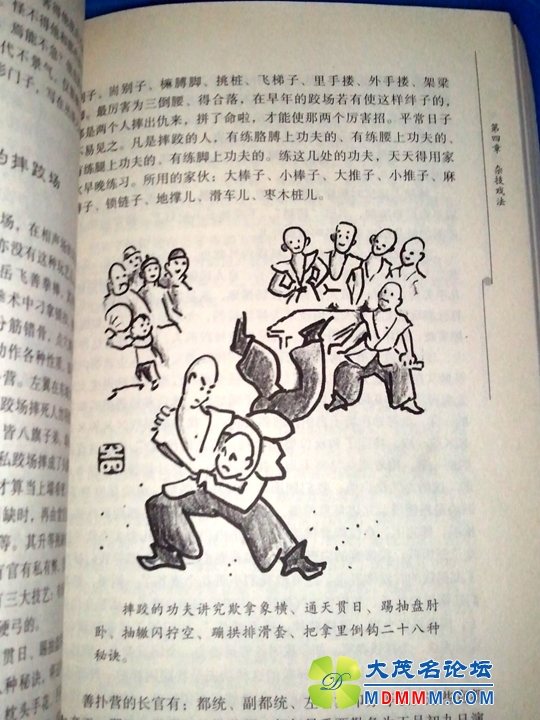 WP_001516.jpg
