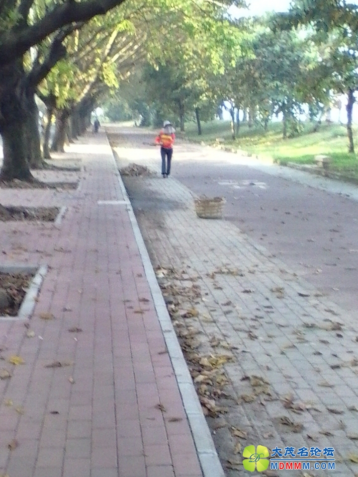 QQͼƬ20131011084111.jpg