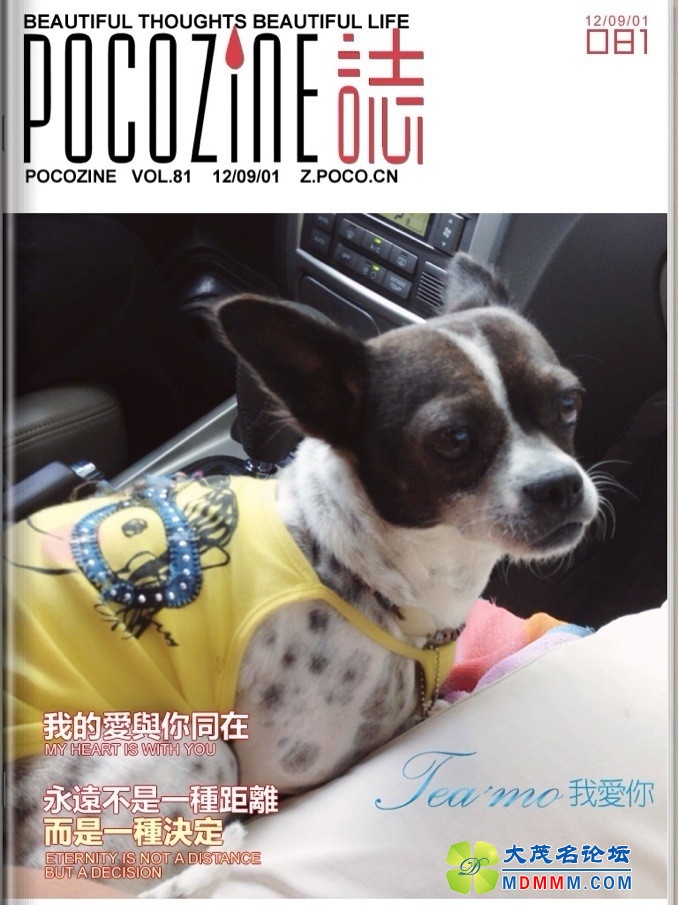 QQͼƬ20131012143027.jpg