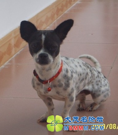 QQͼƬ20131017123236.jpg