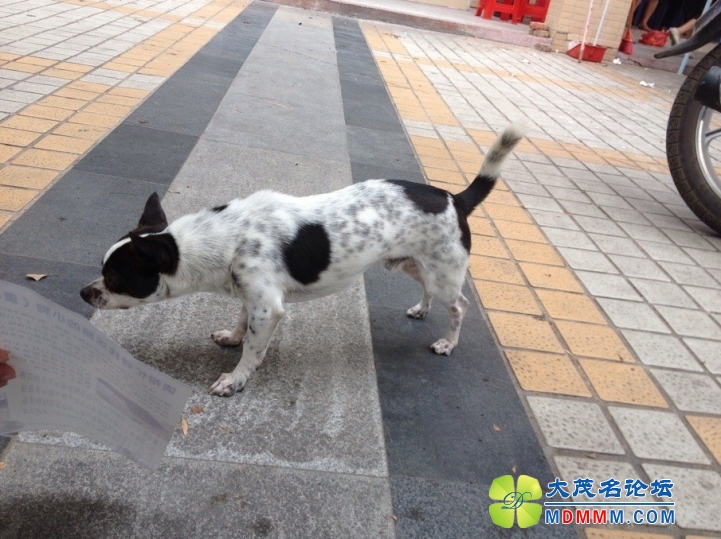 QQͼƬ20131017122949.jpg
