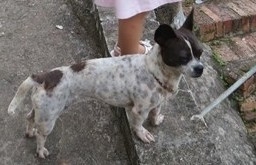 QQͼƬ20131018084436.jpg