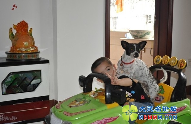 QQͼƬ20131019171403.jpg